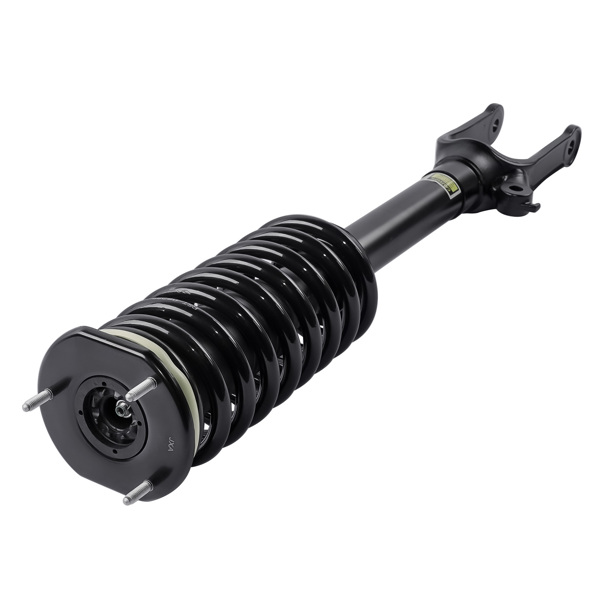 减震器 Front Strut with Coil Spring Assembly For Mercedes-Benz R320 R350 R500 R63 AMG 2006-2013 2513200330-3