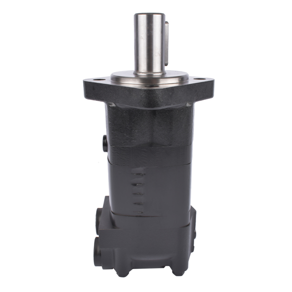 液压马达 Hydraulic Motor OMS315-151F0506 OMS315151F0506 151F0506 for Sauer Danfoss-5