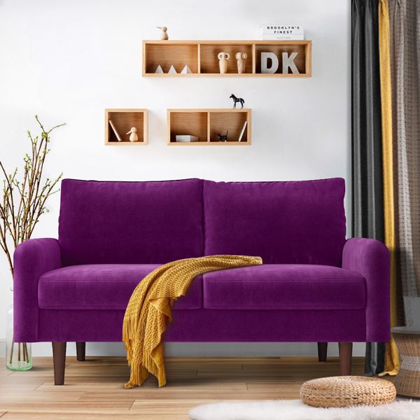 56.3 英寸天鹅绒圆臂公寓双人沙发