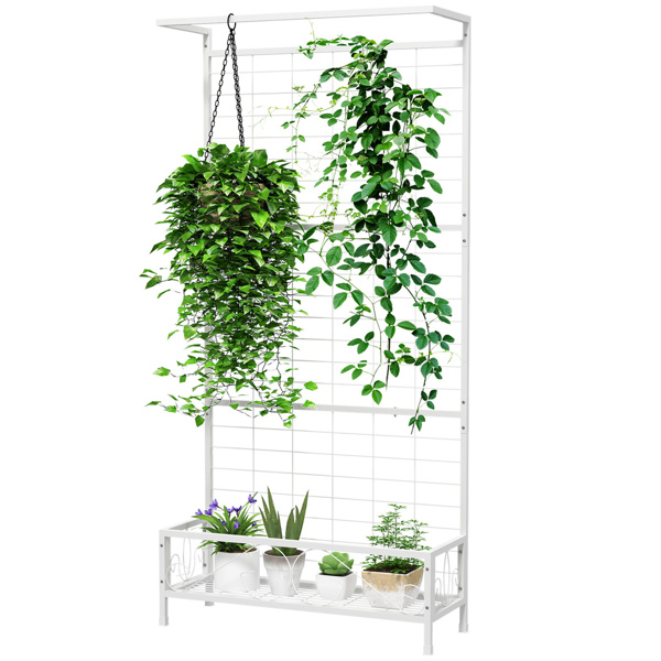 花架（周末不发货）（ Amazon Shipping）（WalMart禁售）-4