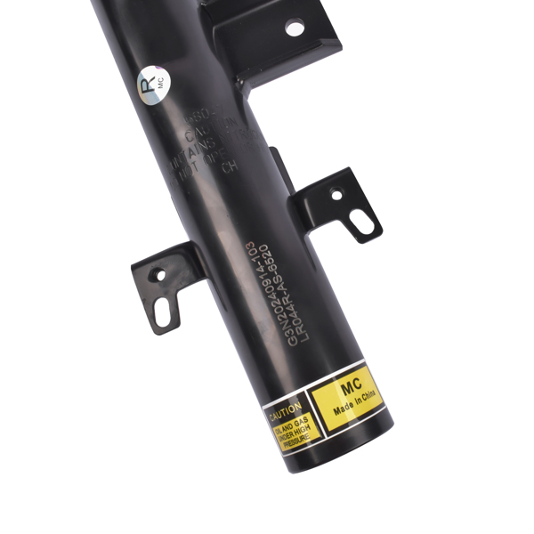 减震器 Rear Right Shock Strut Assembly for Land Rover LR2 Freelander 2 L359 2008-2015-11