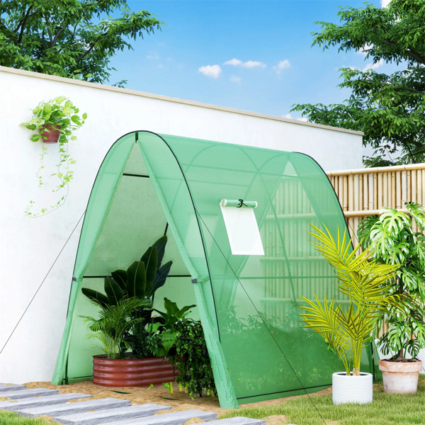 温室2门6' x 6' x 6.6'，绿色﻿  （amazon shipping-发货，WALMART禁止销售）周末不发货-3