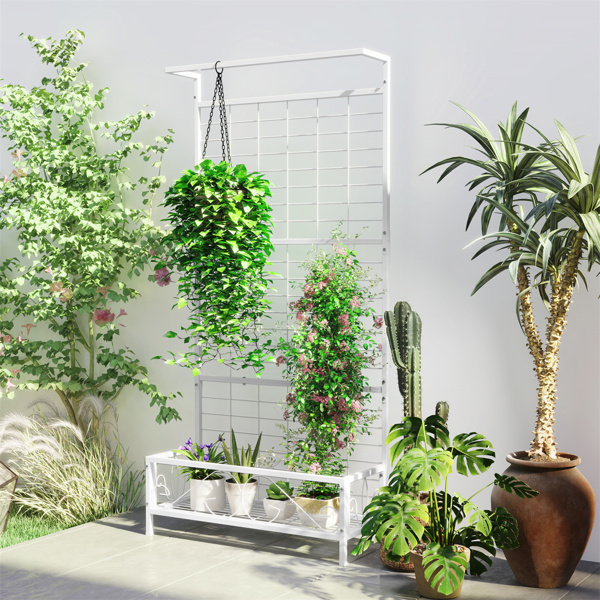 花架（周末不发货）（ Amazon Shipping）（WalMart禁售）-8