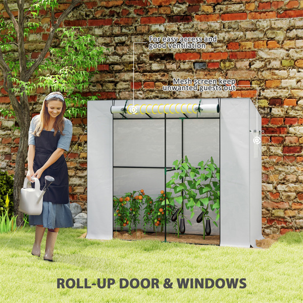 mini 温室棚 （ Amazon Shipping）（WalMart禁售）（周末不发货）-7