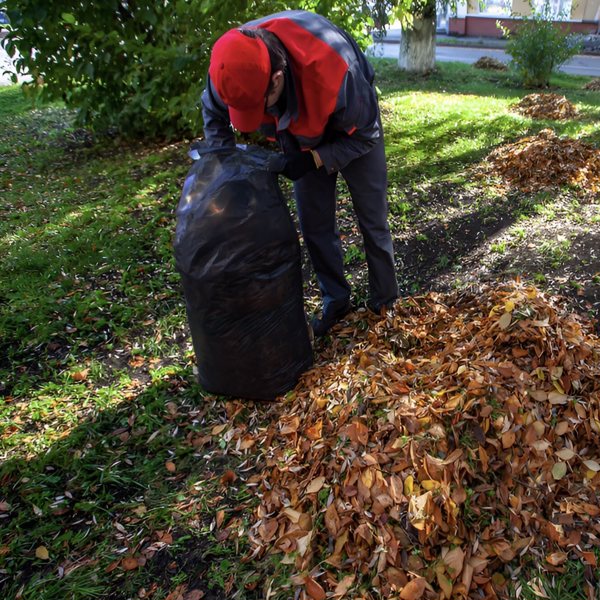 45加仑重型垃圾袋（50个）1.9MIL大型黑色垃圾袋35英寸*39.4英寸草坪、树叶和商业垃圾袋（周末不发货，禁售亚马逊）-12