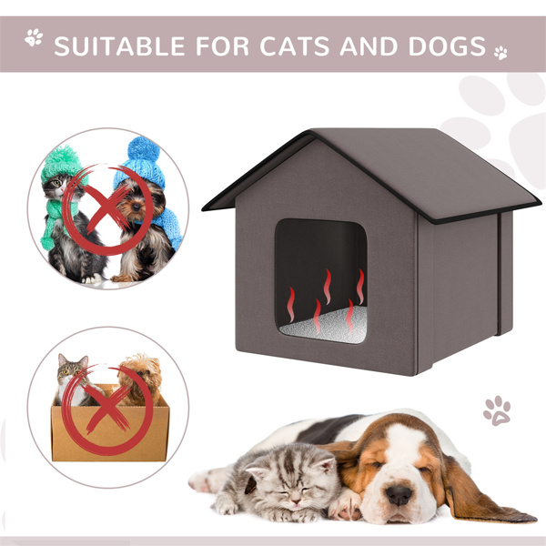 猫屋 （周末不发货）（ Amazon Shipping）（WalMart禁售）-1