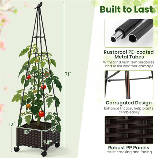 2合1花园床与植物箱和棚架﻿   WALMART禁止销售-4
