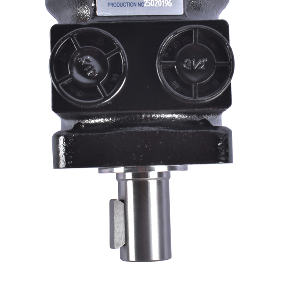 液压马达 Hydraulic Motor for Sauer Danfoss EATON 151-2124 BMPH-125-H4KP CM034P DH125 101-1755-009-8