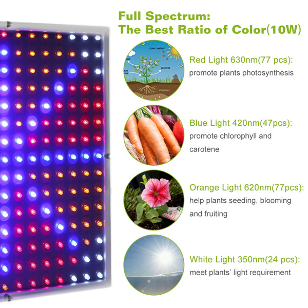 LED 植物生长灯 全光谱悬挂式 225 个 LED 植物生长灯 适用于温室多肉植物和花卉苗木的室内生长灯（15 W LEDs）-3