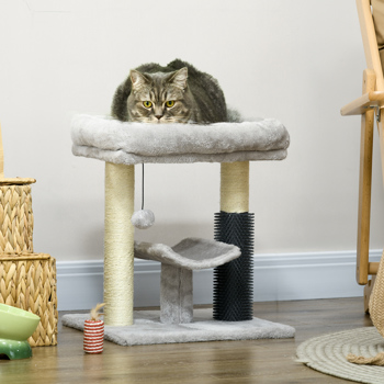 猫树（周末不发货）（ Amazon Shipping）（WalMart禁售）