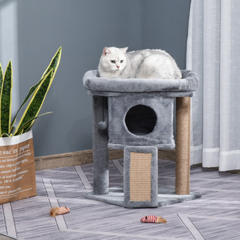 猫树（周末不发货）（ Amazon Shipping）（WalMart禁售）