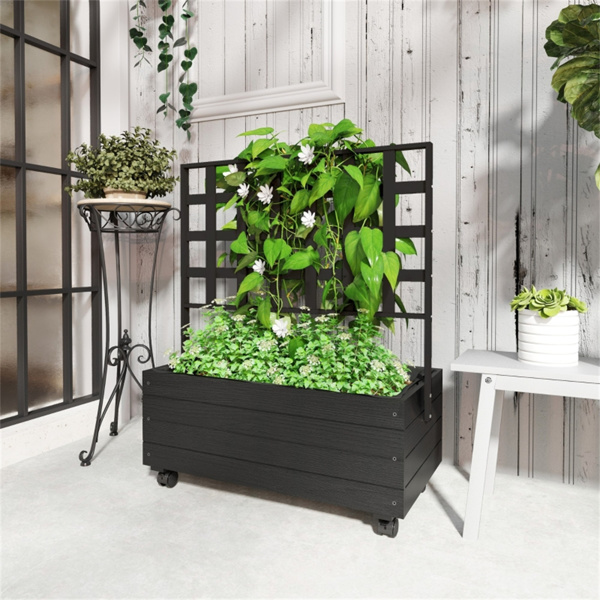 室内植物架、花架（周末不发货）（ Amazon Shipping）（WalMart禁售）-2