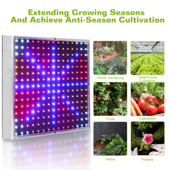 LED 植物生长灯 全光谱悬挂式 225 个 LED 植物生长灯 适用于温室多肉植物和花卉苗木的室内生长灯（15 W LEDs）