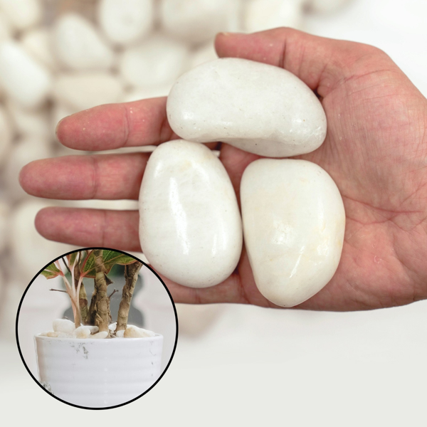 18lbs Large Pebbles for Landscaping, 2-3inch River Stones for Aquariums, High Polished Natural Decorative Stones for Vase Filling Fish Tanks Horticultural River Stones for Aquariums-3