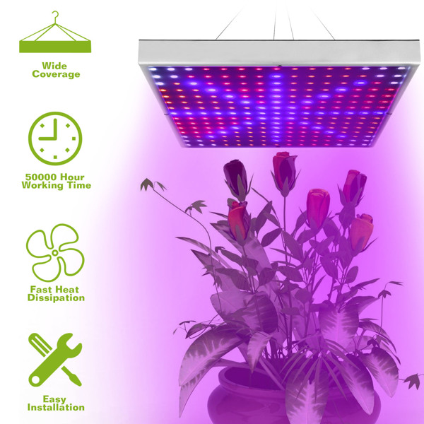 LED 植物生长灯 全光谱悬挂式 225 个 LED 植物生长灯 适用于温室多肉植物和花卉苗木的室内生长灯（15 W LEDs）-4