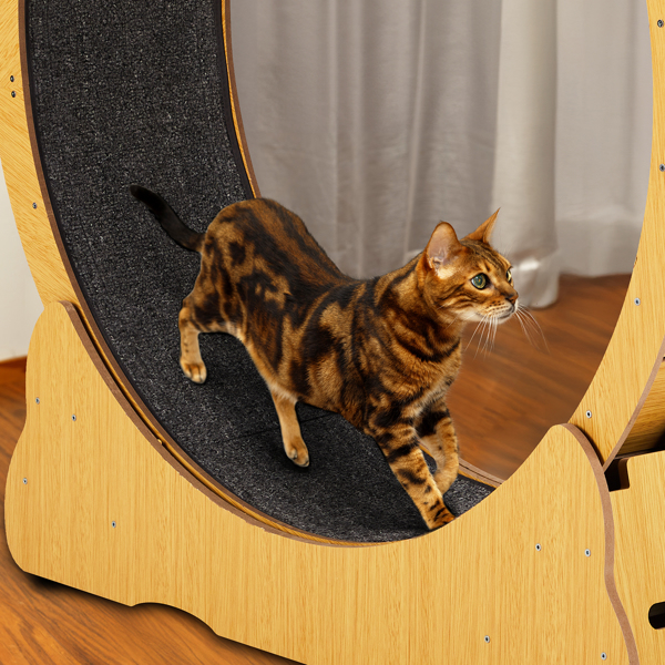 110*36.5*116CM 原木色 高密度纤维板 组装式 15kg 猫跑步机-6