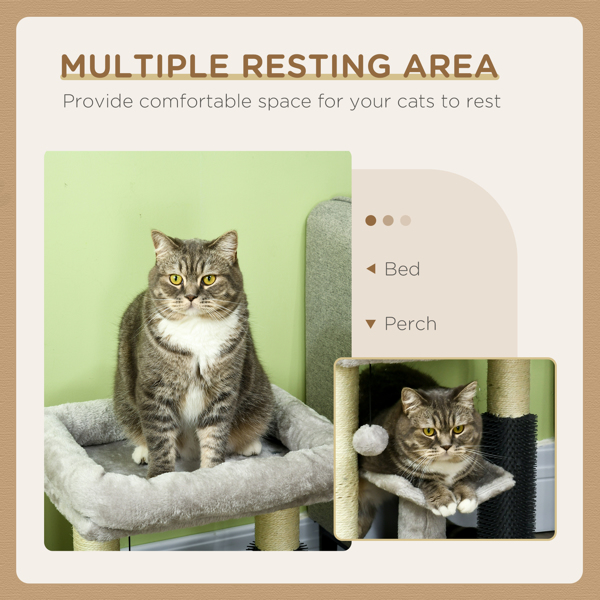 猫树（周末不发货）（ Amazon Shipping）（WalMart禁售）-5