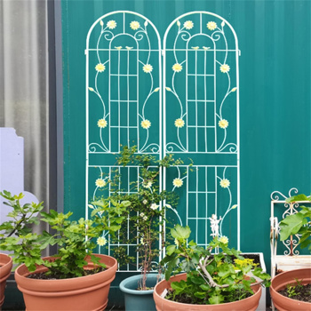 花园拱门 /植物支架 （ Amazon Shipping）（WalMart禁售）（周末不发货）