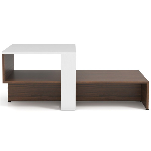 Double layered dual color coffee table-5