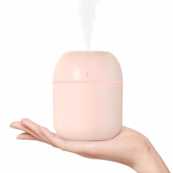 便携式迷你加湿器，220ml，小型冷雾加湿器，USB个人桌面加湿器，卧室，旅行，办公室，家庭