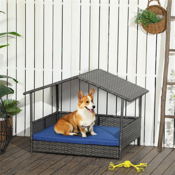 狗屋（周末不发货）（ Amazon Shipping）（WalMart禁售）-1