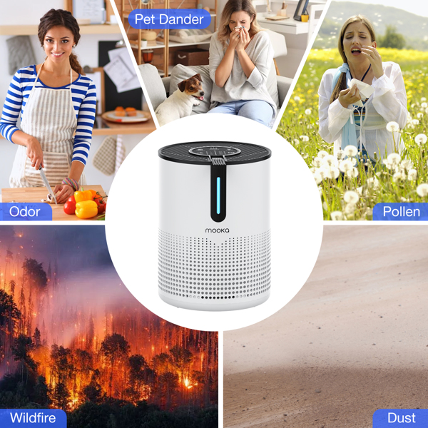 （Amazon&TEMU: Prohibited,No weekend orders.）MOOKA 475Sq.ft Air Purifier Cleaner HEPA Filter Remove Odor Dust Mold Home Allergies Smog-11