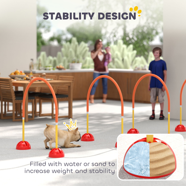 Dog agility training equipment-5