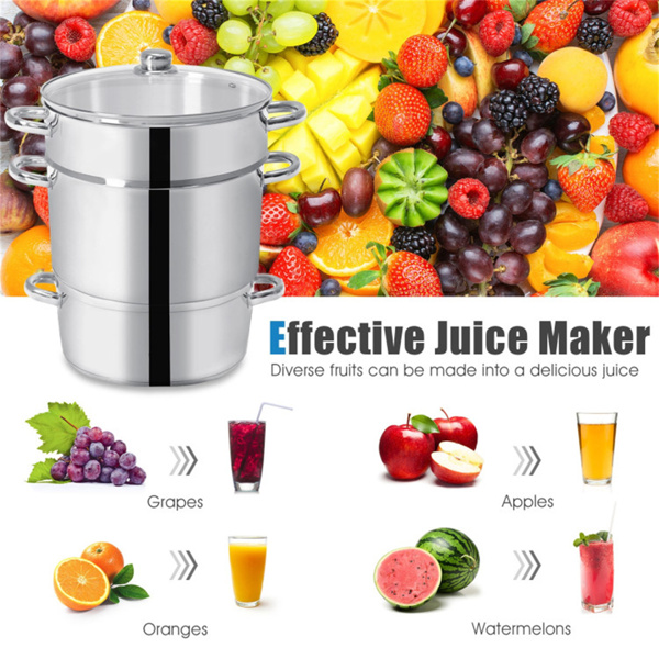  11-Quart Stainless Steel Fruit Juicer Steamer-6