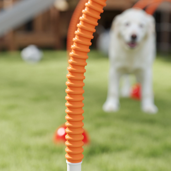 Dog agility training equipment-7