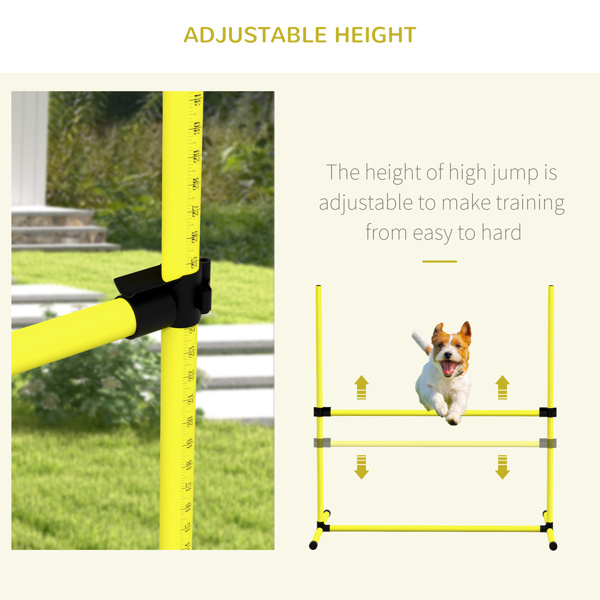 Dog agility training equipment-3