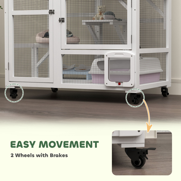 Cat House-4