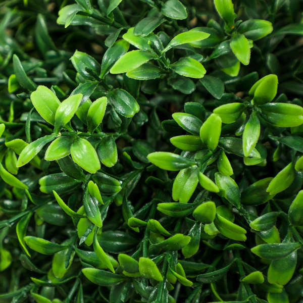 Artificial Plant/Green plants-6