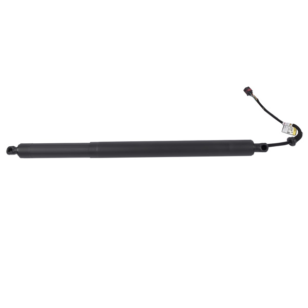 Cylinder Tailgate Boot Left Fit for Hyundai Santa Fe 2.0L 2.4L 2019-2020 81831-S1100 81831S1100-4