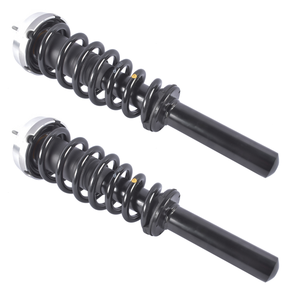 Pair Front Complete Strut & Coil Spring Assembly Replacement for BMW X5 2007-2013, X6 2008-2014 1335906-3