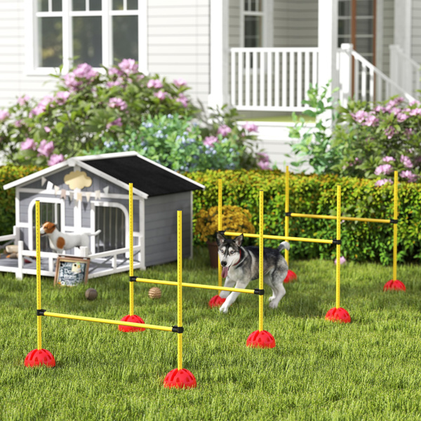 Dog agility training equipment-1