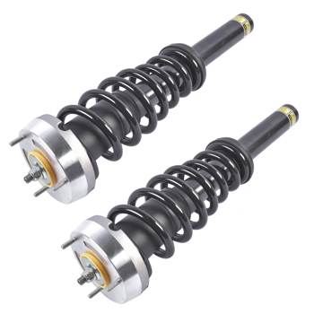Pair Front Complete Strut & Coil Spring Assembly Replacement for BMW X5 2007-2013, X6 2008-2014 1335906