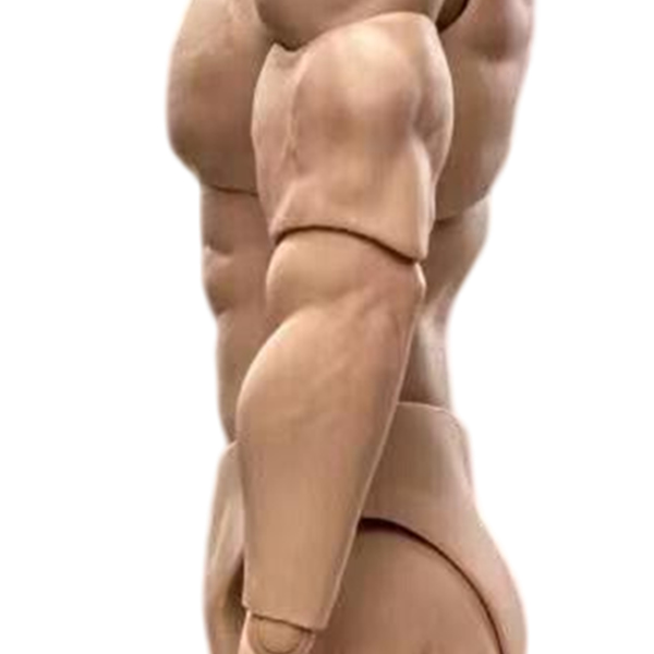 1/6 比例 BD003 肌肉发达男性可动人偶身体，适用于 12 英寸 Hot Toy 士兵头部-7