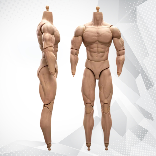 1/6 比例 BD003 肌肉发达男性可动人偶身体，适用于 12 英寸 Hot Toy 士兵头部-9