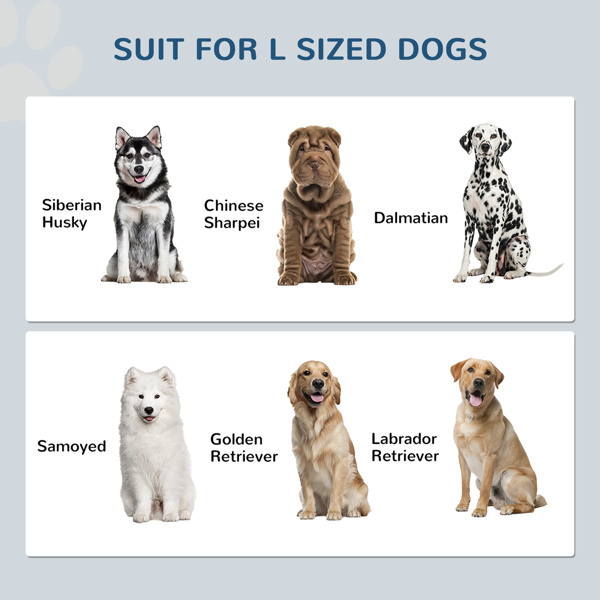 Elevated Dog Bowl-6