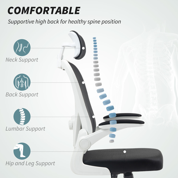 Office Chair/Massage Office Chair -3