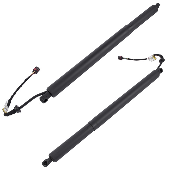 Power Tailgate Lifts LH & RH Fit for Hyundai Santa Fe 2.0L 2.4L 2019-2020 81841-S1100 81841S1100-6
