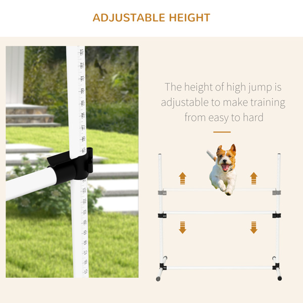 Dog agility training equipment-3