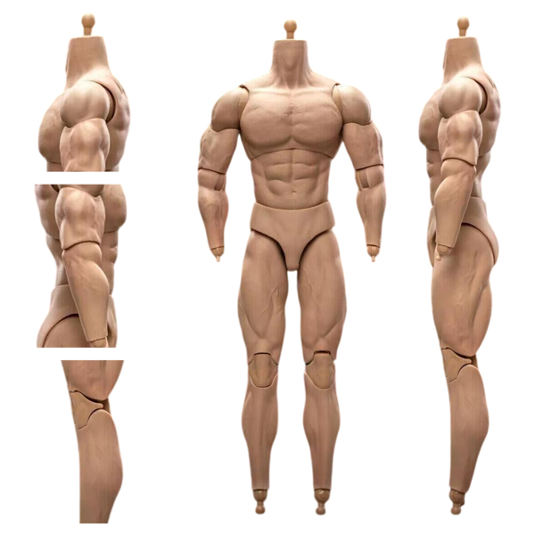 1/6 比例 BD003 肌肉发达男性可动人偶身体，适用于 12 英寸 Hot Toy 士兵头部-11