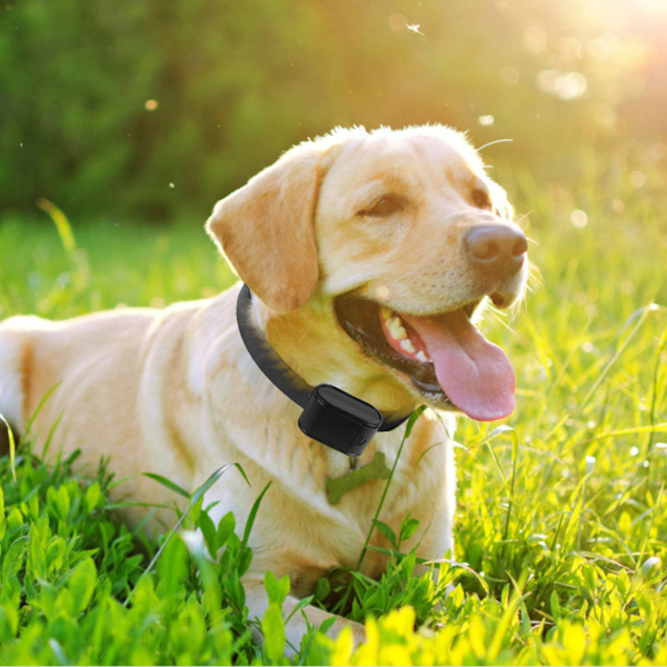 Electric Dog Fence System Pet Tone Shock Boundary Containment Water Resistant Collar Receiver For Small Medium Large Dog-3