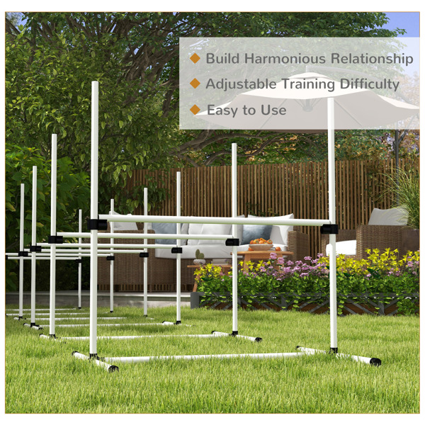 Dog agility training equipment-6