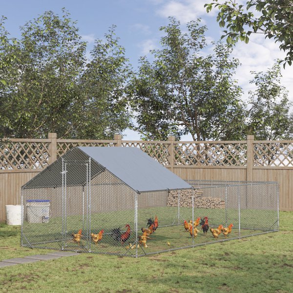 Chicken Coop  ( Amazon Shipping)（Prohibited by WalMart）-1