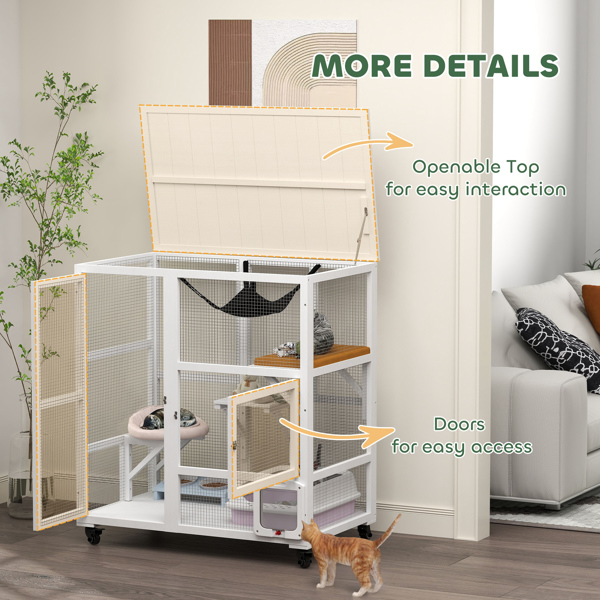 Cat House-6