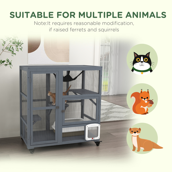 Cat House-7