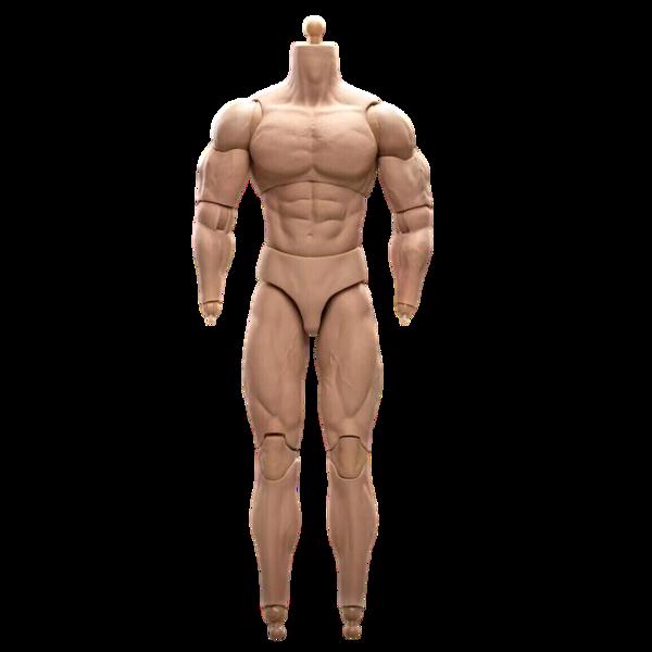 1/6 比例 BD003 肌肉发达男性可动人偶身体，适用于 12 英寸 Hot Toy 士兵头部-8
