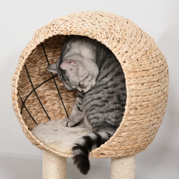 猫树/猫架（周末不发货）（ Amazon Shipping）（WalMart禁售）-7